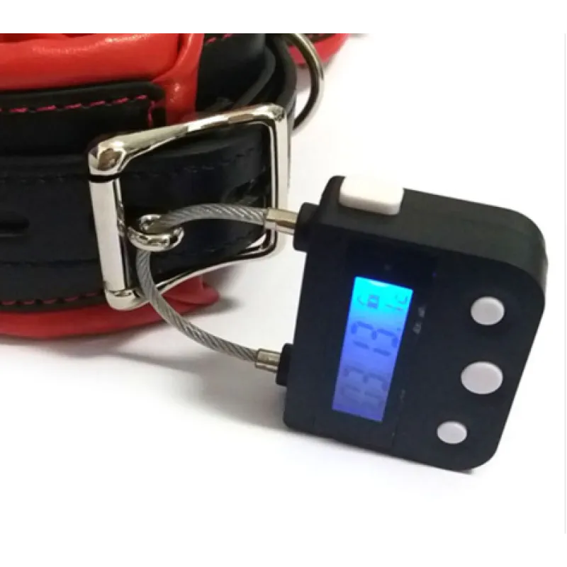 Electronic Timer BDSM Bondage Restraints