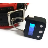 Electronic Timer BDSM Bondage Restraints