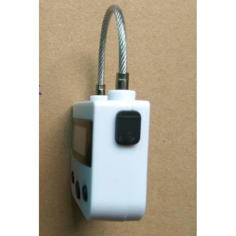 Electronic Timer BDSM Bondage Restraints